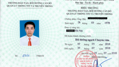 mua chứng chỉ chuyên viên