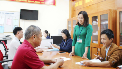 chứng chỉ chuyên viên