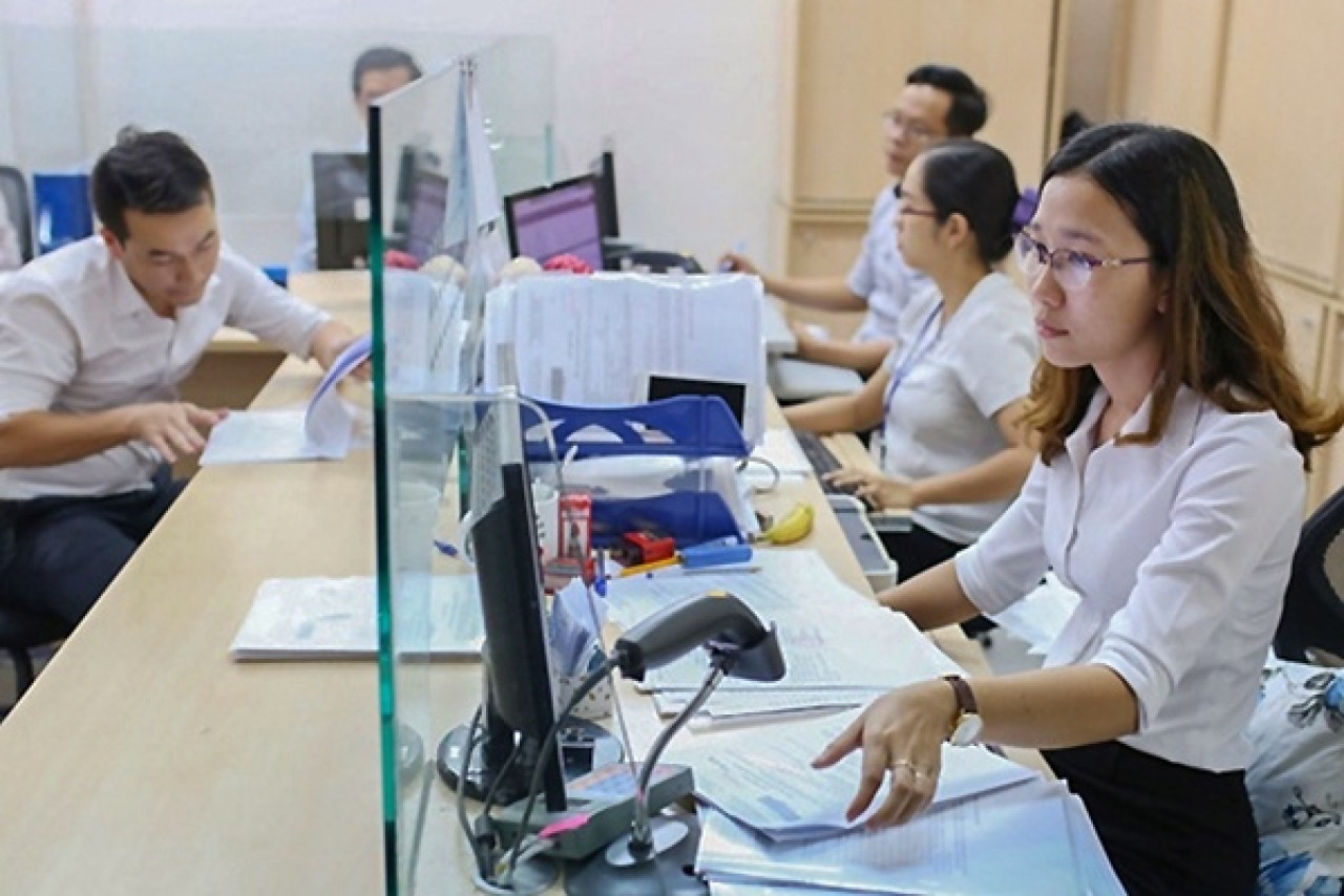 chuyên viên và kiểm tra viên thuế