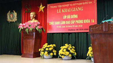 lãnh đạo cấp phòng