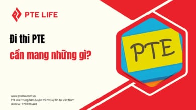 di-thi-pte-can-mang-nhung-gi