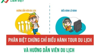Chứng chỉ điều hành tour và HDV khác nhau về mục đích, đối tượng và chức năng